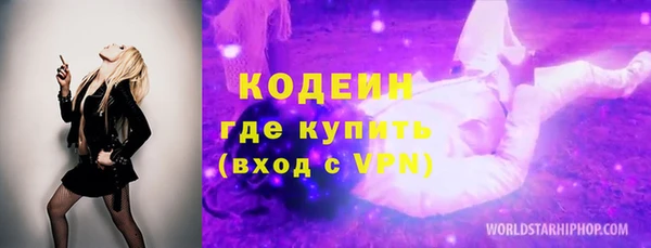 шишки Новодвинск